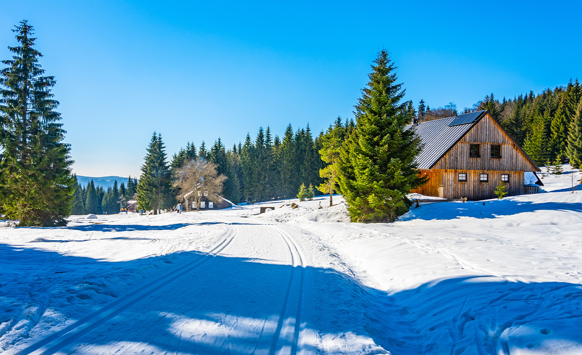 Chalets an der Loipe