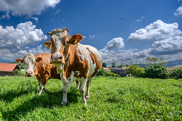 Ferienregionen Deutschland