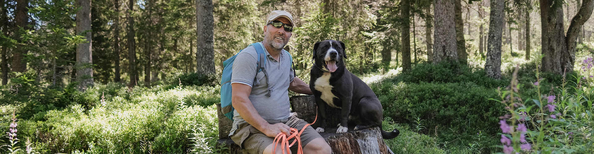 Urlaub mit Hund in Chalets in Österreich